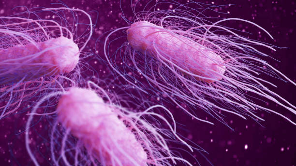 salmonella  bacteria 3d illustration stock photo