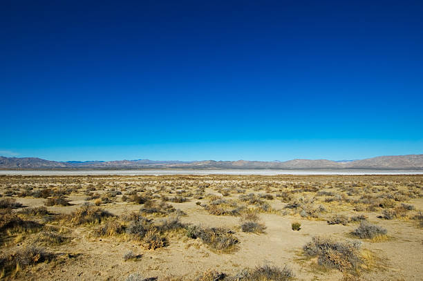 Salt Desert stock photo