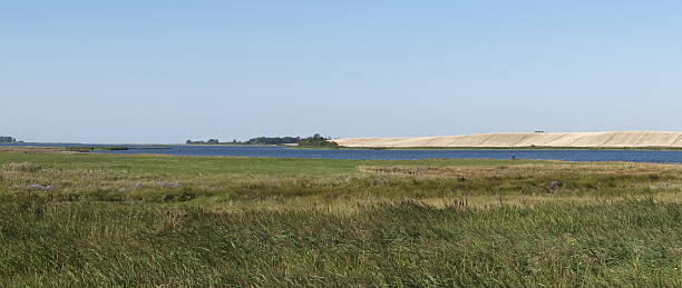 Salt marshes on the Baltic Sea stock photo