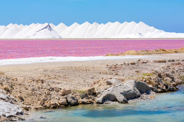 Salt mountains with pink salt lake on Bonaire stock photo