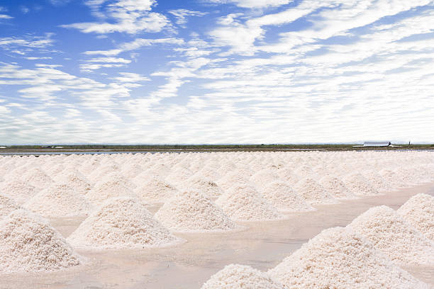 salt piles in the Saline from Samutsakorn, Thailand stock photo