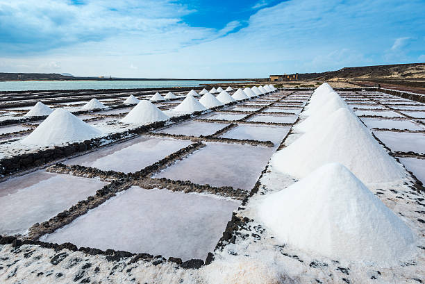 Salt works of Janubio, Lanzarote, Canary Islands (Spain) stock photo