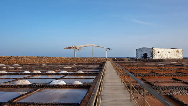 Saltwork pools at Salinas del Carmen, Fuerteventura, Canary Islands, Spain stock photo