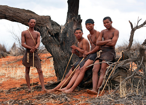 San bushmen rest on fallen tree near their tribal village, Kalahari Desert, Namibia, Southern Africa. Namibia although colonised predominantly by Germany until British takeover and subsequent independence, retains much of its original character including the indigenous tribal people known as the Himba, as well as other tribal people such as the San bushmen in the Kalahari desert