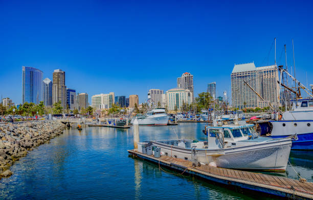 San Diego skyline with marina harbor, California stock photo