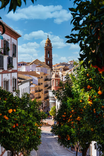 San Sebastian church tower in Antequera, Malaga Province, Andalusia, Spain stock photo