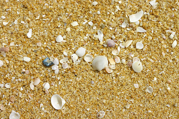 Sand at beach stock photo
