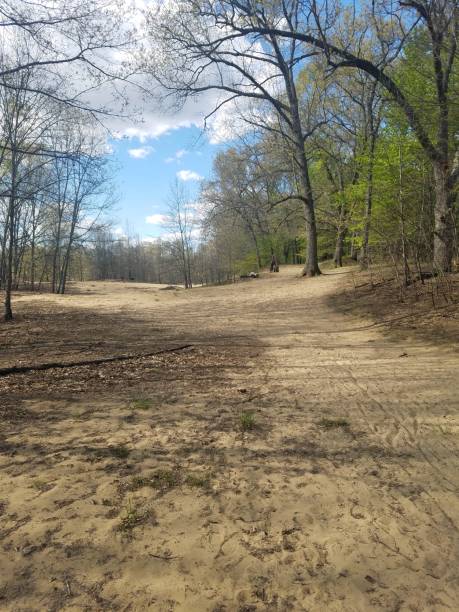 Sand Barrens of Oak Openings Metropark in Ohio stock photo