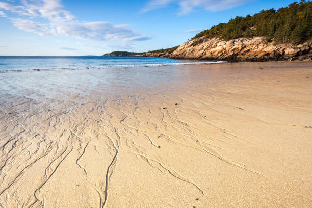 Sand beach, Acadia National Park, Maine, USA Low tide at Sand beach, Acadia National Park, Mount Desert Island, Maine, USA low tide stock pictures, royalty-free photos & images