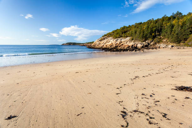 Sand beach, Acadia National Park, Maine, USA stock photo