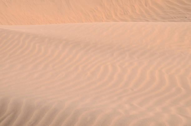 Sand Dune Desert in Maspalomas stock photo
