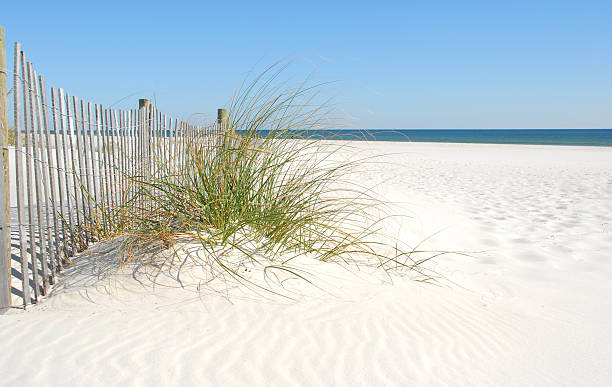 Sand dune, grass, and wooden fence at the beach stock photo