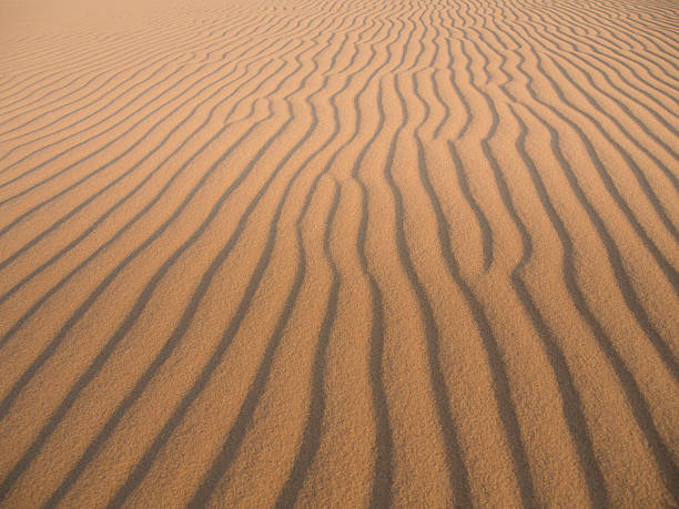 Sand dune stock photo