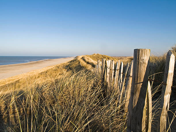 sand dunes and beach stock photo
