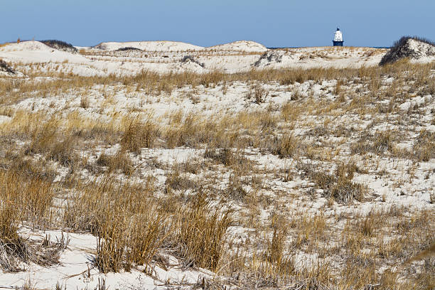 dune di sabbia e duna erba - de winter foto e immagini stock
