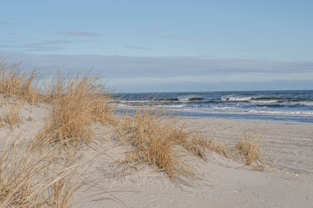Sand Dunes Avalon, New Jersey stock photo