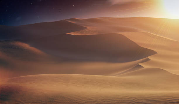 일몰에 사막에서 모래 언덕. 3d 렌더링 된 그림입니다. - 사막 뉴스 사진 이미지