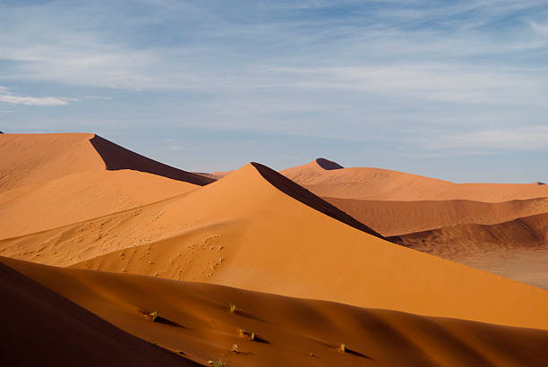 Namib Sand Sea Stock Photos, Pictures & Royalty-Free Images - iStock