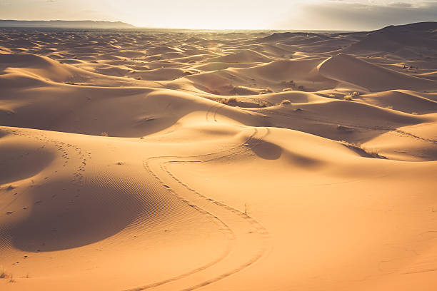 dunas de areia no deserto do sara, merzouga, marrocos - marrakech desert imagens e fotografias de stock
