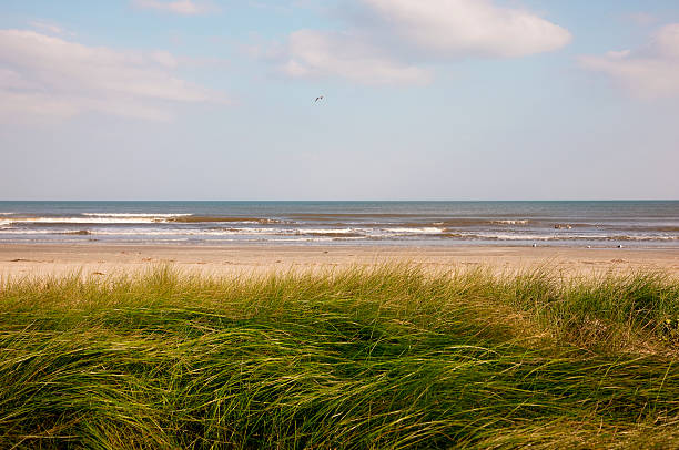 sand dunes in west galveston, texas - gulf coast states stockfoto's en -beelden