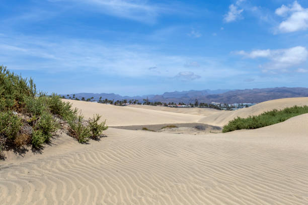 Sand dunes of Maspalomas, Gran Canaria, Canary Islands, Spain on a hot summer day. stock photo