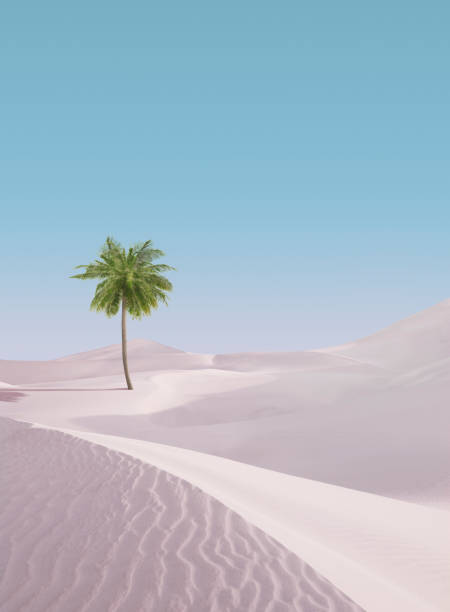 sand dunes stock photo