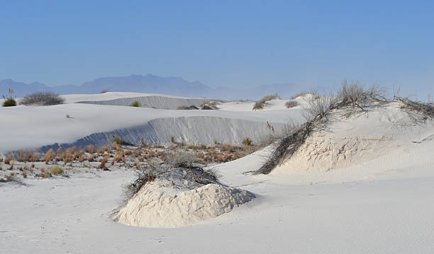 Sand Dunes stock photo