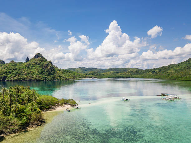 沙洲蛇島 vigan 島 el nido 巴拉望菲律賓 - snake island 個照片及圖片檔