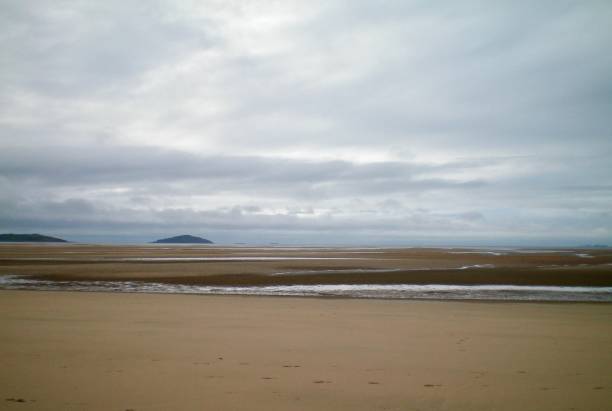 A sandy beach exposed by a receding tide. A receding tide has left a large amount of sand exposed on a beach. Some water remains. Two small hills are visible in the distance, and two tankers are just visible in the distance. The sky is grey and overcast. altostratus stock pictures, royalty-free photos & images