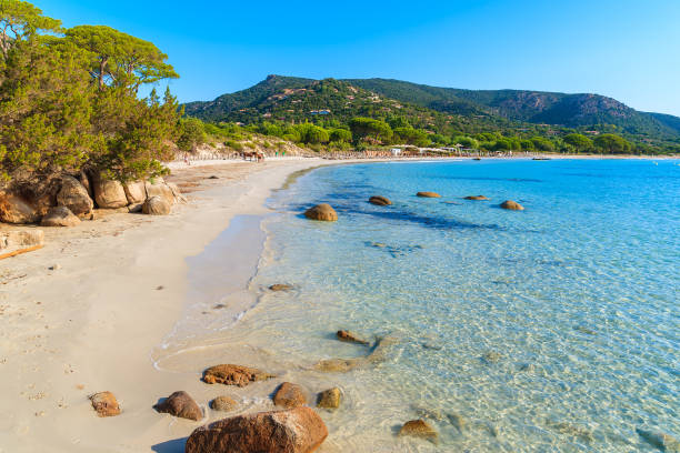 Sandy beautiful Palombaggia beach with azure sea water, Corsica island, France stock photo