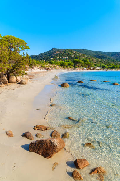 Sandy beautiful Palombaggia beach with azure sea water, Corsica island, France stock photo