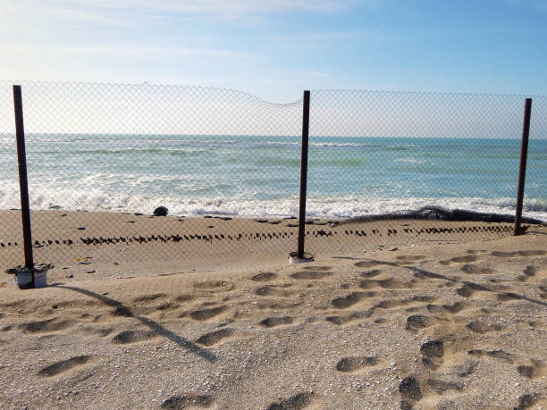 Sandy coast of the Caspian Sea. stock photo