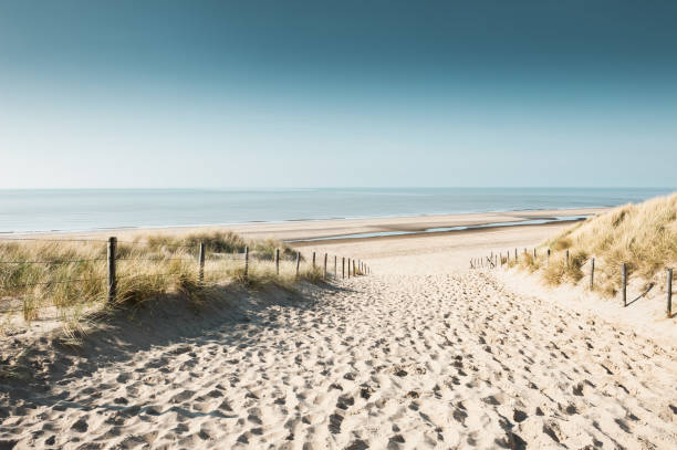 sandy duinen op de kust van de noordzee - nederland strand stockfoto's en -beelden
