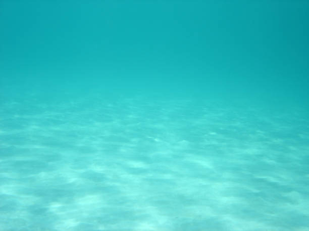 Sandy Ocean Floor Stock Photo Download Image Now Istock
