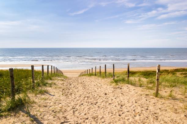 een zandpad dat over een dijk naar de zee leidt - nederland strand stockfoto's en -beelden