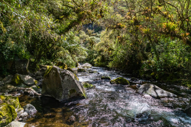 Santa Clara River in Rumiñahui Canton stock photo