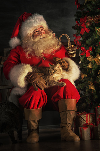 Santa Claus Sitting Near Christmas Tree Stock Photo - Download Image Now - iStock
