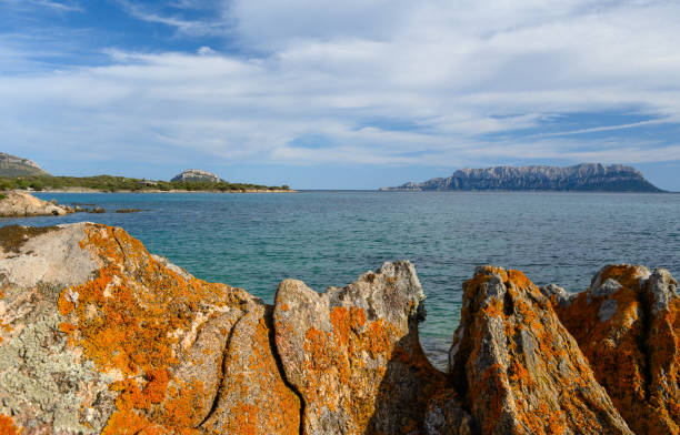 Sardinia rocky coast with sea view and island isola tavolara stock photo