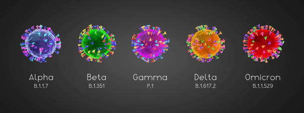 SARS-CoV-2, Covid-19 virus variants: alpha, beta, gamma, delta, omicron - 3D illustration SARS-CoV-2, Covid-19 virus variants classification: alpha (B.1.17), beta (B.1.351), gamma (P.1), delta (B.1.617.2), omicron (B.1.1.529) - 3D illustration. Colorful cells on grey background. covid variant stock pictures, royalty-free photos & images