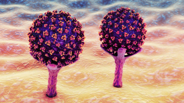 SARS-CoV-2 viruses binding to ACE-2 receptors on a human cell SARS-CoV-2 viruses binding to ACE-2 receptors on a human cell, the initial stage of COVID-19 infection, conceptual 3D illustration receptor stock pictures, royalty-free photos & images