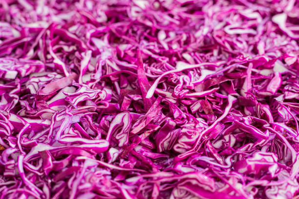 Sauerkraut making process, red cabbage chopped, close up stock photo