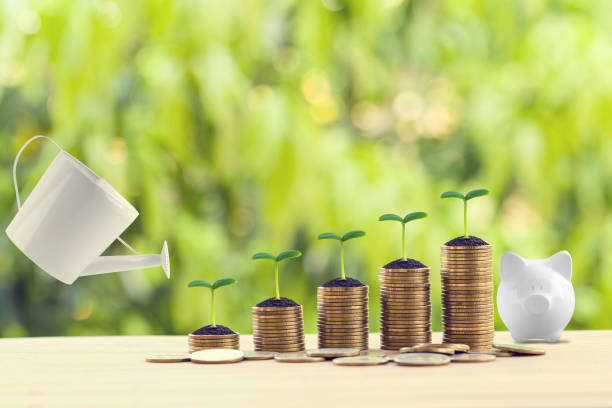 将来の成長コンセプトのためにお金を節約する:自然な緑の背景に木材テーブルの上に増加するコインの列に緑の芽に水が注がれている。銀行と金融、持続可能な成長のための資産のセキュリ - 複利 ストックフォトと画像
