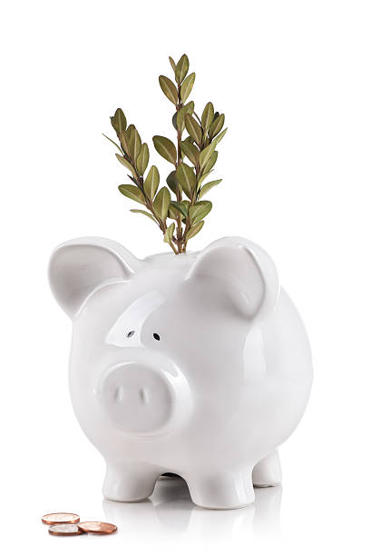 Savings Concept stock photo