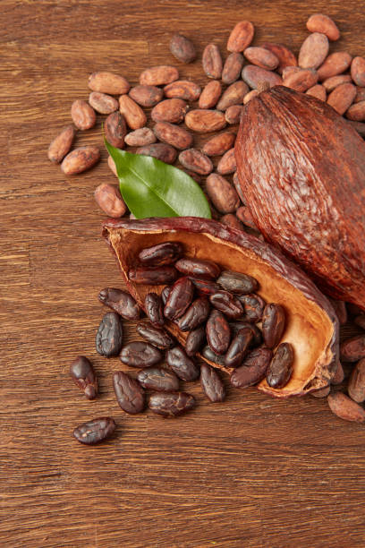 Scattered raw cocoa beans and pods stock photo