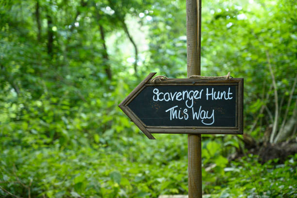 Scavenger hunt this way signpost in lush forest woodland Scavenger hunt game signage scavenging stock pictures, royalty-free photos & images