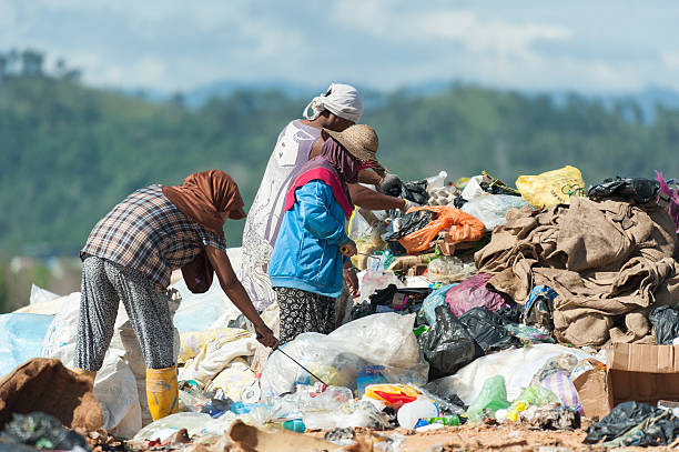 scavengers collecting recyclable material Kota Kinabalu Sabah Malaysia - Jun 7, 2013:Unidentified scavengers collecting recyclable material in dumping site at Kayu Madang Sabah.Rubbish segregation is hardly impose in Malaysia beside many campaign by government. scavenging stock pictures, royalty-free photos & images