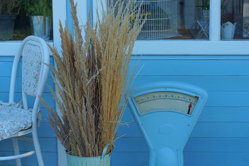 scenery from soviet old scales next to a dry bouquet of grass in a vase near the blue wall