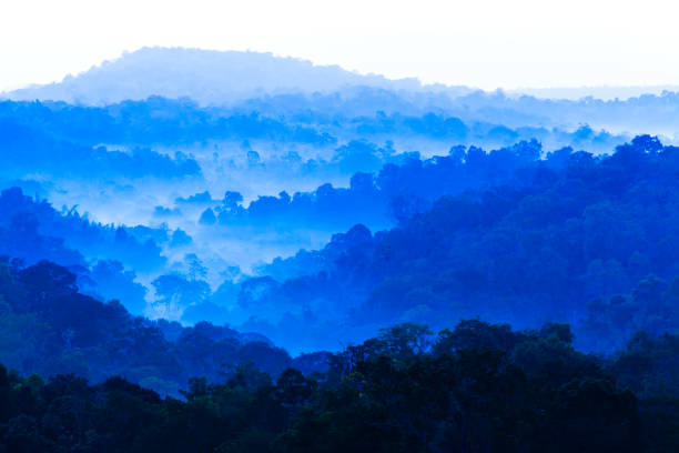 Scenery of blue mountains in the morning mist. stock photo