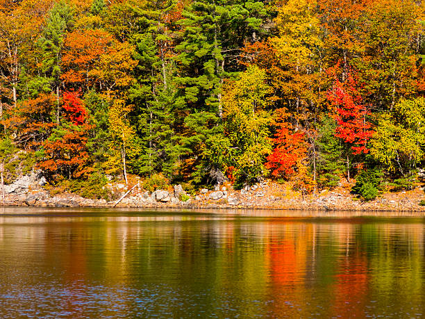 Scenic Autumn Colors Reflected in the water stock photo