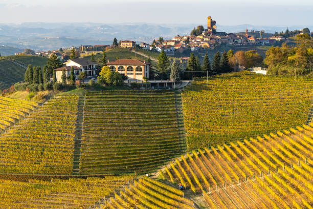 Scenic autumn landscape of vineyards around Serralunga d’Alba in Langhe area, Piedmont, Italy stock photo
